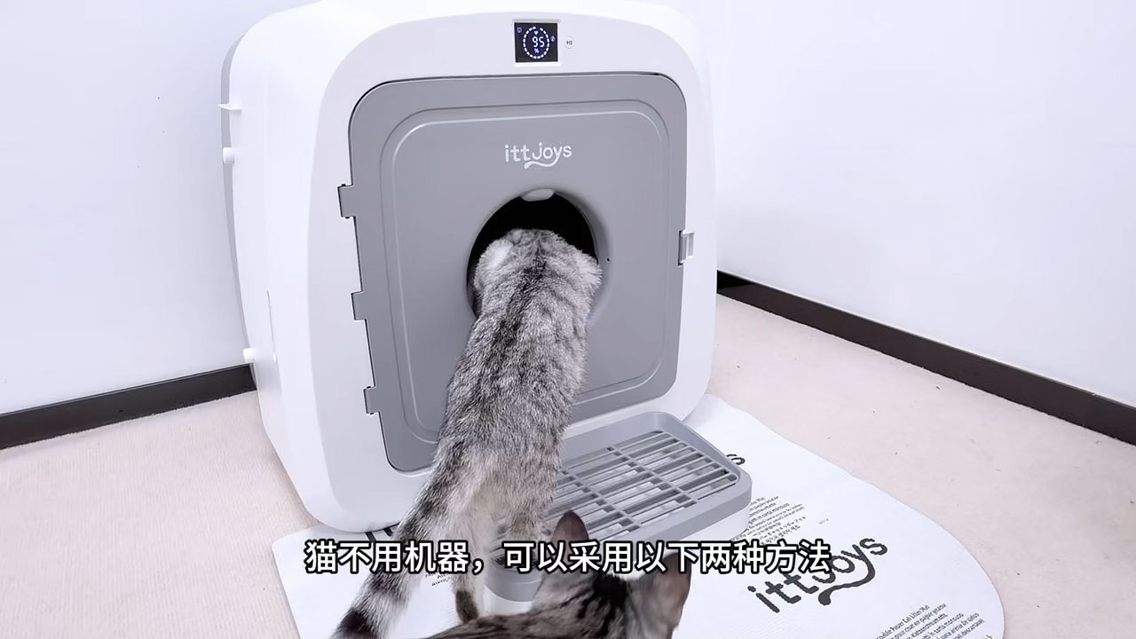 猫砂转换指引